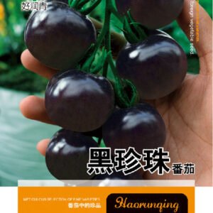 ১ প্যাকেট কালো টমেটো বীজ ৩৫০ Black Tomato