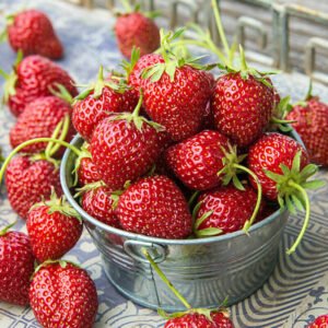 1 Packet Strawberry Seed 350